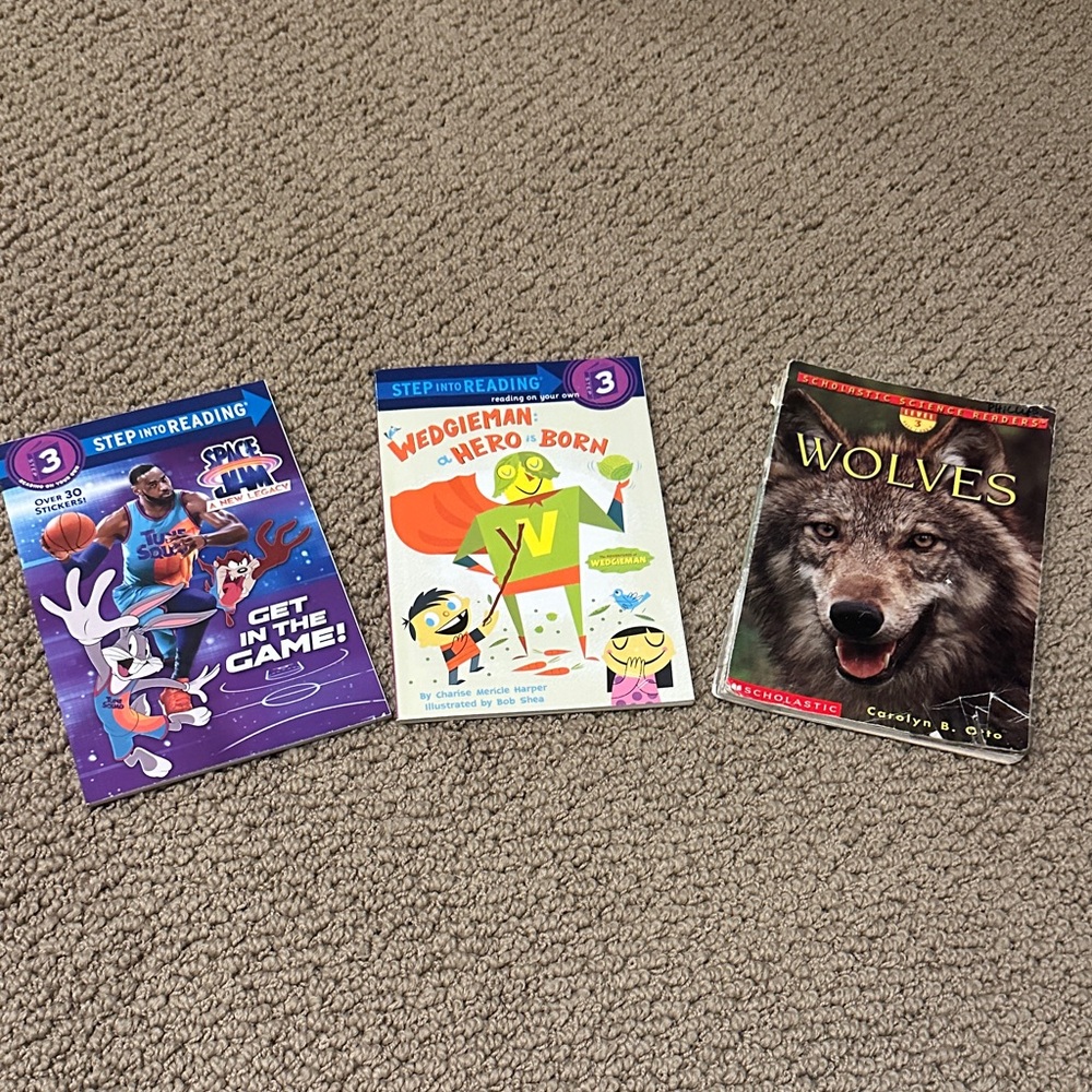Set of 3 Children’s Step-Into-Reading Books - level 3